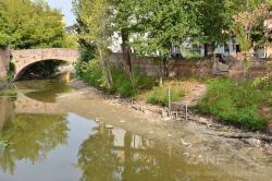 Il ponte che porta alla Specola con il ramo del Piovego in secca (07/2022)