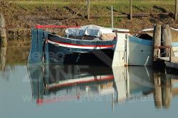 2 Burci nella conca a Battaglia Terme